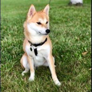 Meet your Posher, Bryan